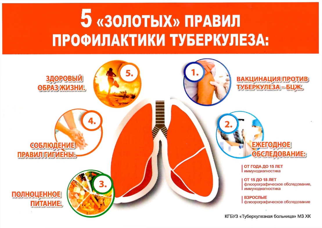 Основные правила профилактики туберкулеза